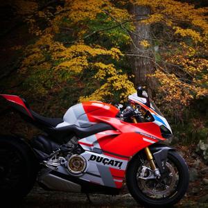 王妮娜 - 天竺少女 Dj车载版