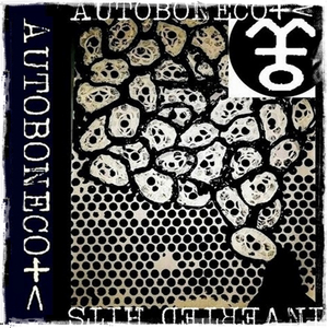 B4. Solid (There Is No Hope)