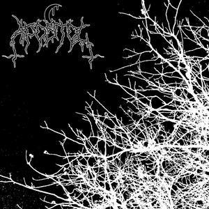 Karabiny Błyszczą Szary Chuj