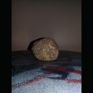 Nuestro Estúpido Sueño