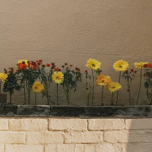 네가 내 이름을 불러줄 때마다