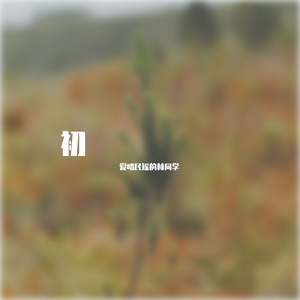 杀死那个石家庄人（翻唱自万能青年旅店）