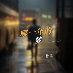 哪一年的梦