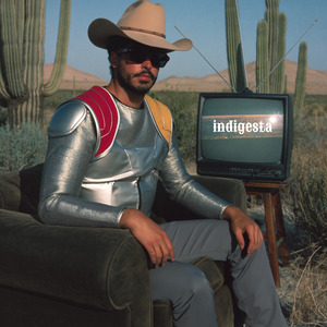 Indigesta