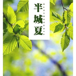 半城夏