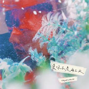 爱你不是两三天（Live）