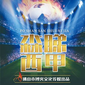 绿茵场梦想家（佛山“西甲”星梦女孩版）