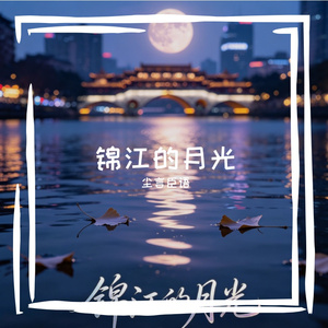锦江的月光