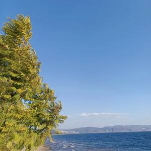 我们的未来 (Our Future)