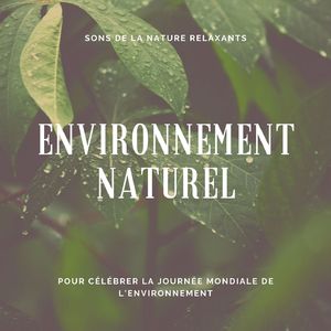 Journée de l'environnement