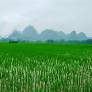 那时的你（cover)