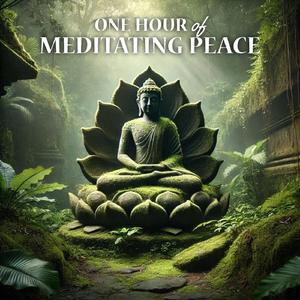 Jungle Light (Forest Sitllness)