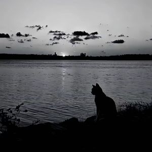 别傻了（Prod. by Jeston）