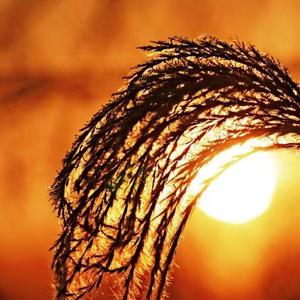 有多少爱可以重来