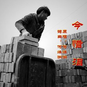 今惜泪(何焕洲原唱)