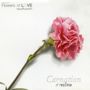 ฉันผิดเอง