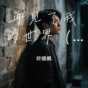 再见了我的世界 (弦上独白)