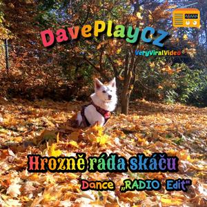 Hrozně ráda skáču (RADIO Edit)