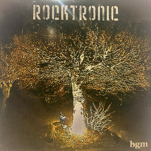 RockTronic