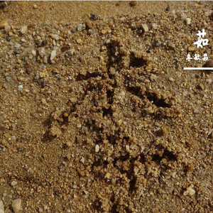 《想把我唱给你听》