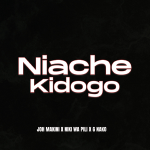 Niache kidogo