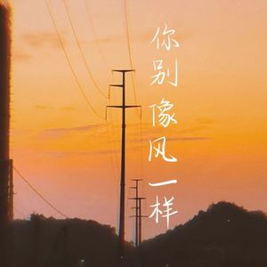 你别像风一样