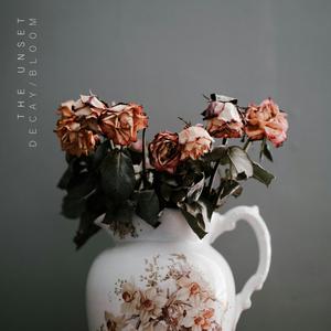 Decay/Bloom