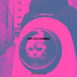 有趣可爱的猫情怀