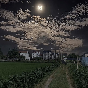 仲夏夜的无果之约