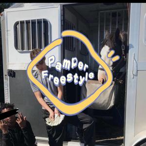 Pamper Freestyle