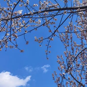 顺毛本领(prod.by Morrow x IOF)