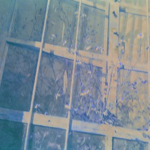 Flores que nadie había visto jamás estaban floreciendo