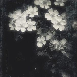 " 狡兔死 走狗烹 " - 中国风 × 加木 × SASIOVERLXRD Type Beat