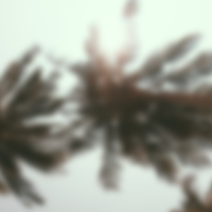 Beautiful People（Nikyi remix）