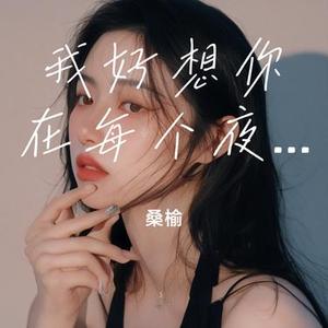 我好想你在每个夜里