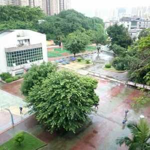 再见深圳