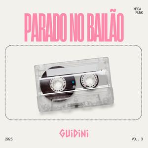 MEGA FUNK PARADO NO BAILÃO