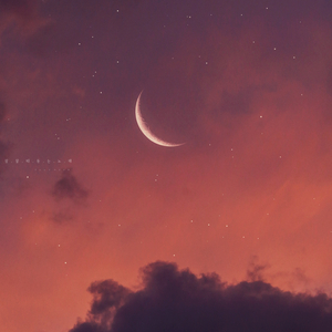 잠들지 못 하는 밤에 들어요