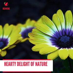 Sloppy Dawn Wetlands