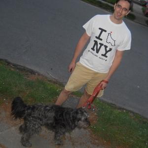 Quinn The Bright Sunny Day