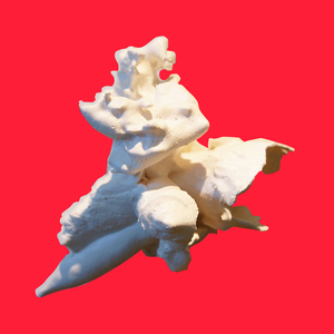 Schön ist's (Dub Fugue)