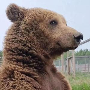 study with your heart