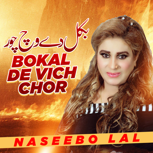 Dhola Ve Kamli De Dhola