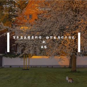 写不出我想要的你，却余生与你共别无期