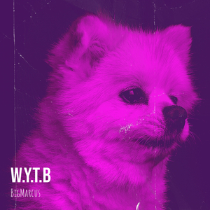 W.Y.T.B
