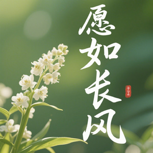 愿如长风