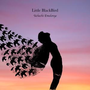 Little BlackBird