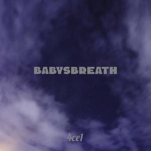 Babysbreath繁星