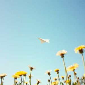 咸甜宇宙漫游指南