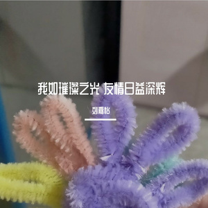 我如璀璨之光 友情日益深辉 (现场)